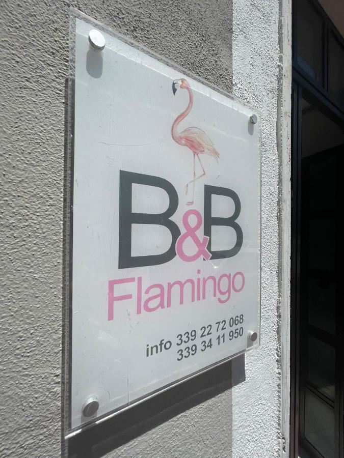 Flamingo B&B Pompeja Zewnętrze zdjęcie